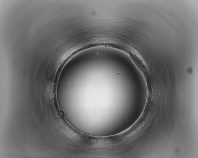 X0000092020786200709131555
