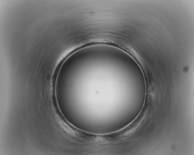 X0000092020787200709131555