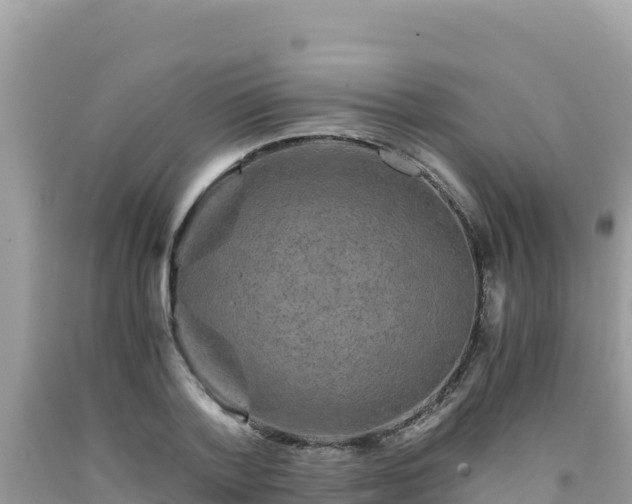 X0000092020788200709131555
