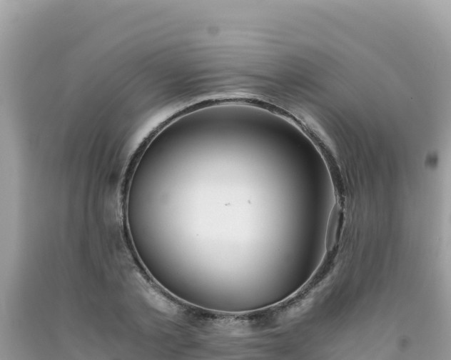 X0000092020789200709131555
