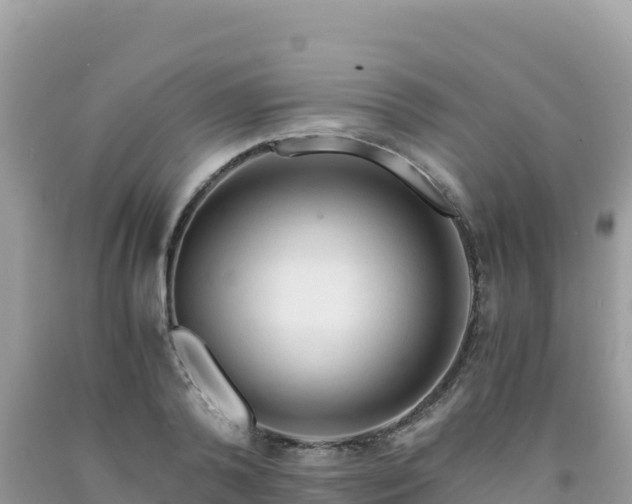 X0000092020792200709131555