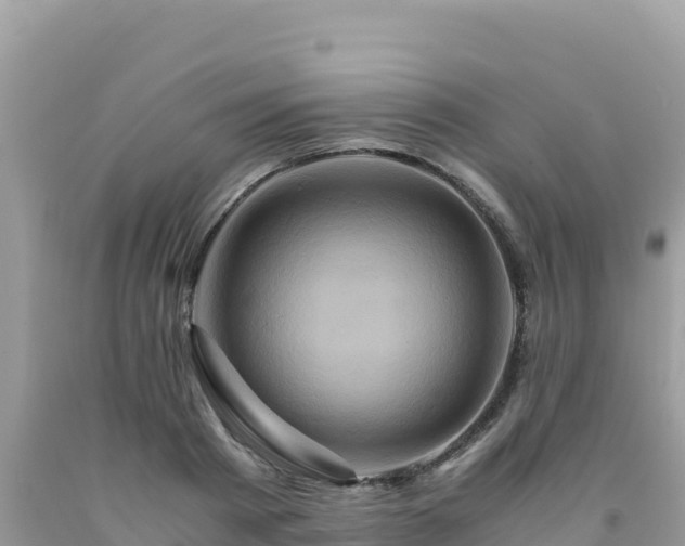 X0000092020793200709131555