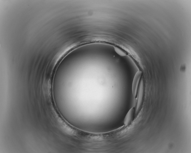 X0000092020798200709131555