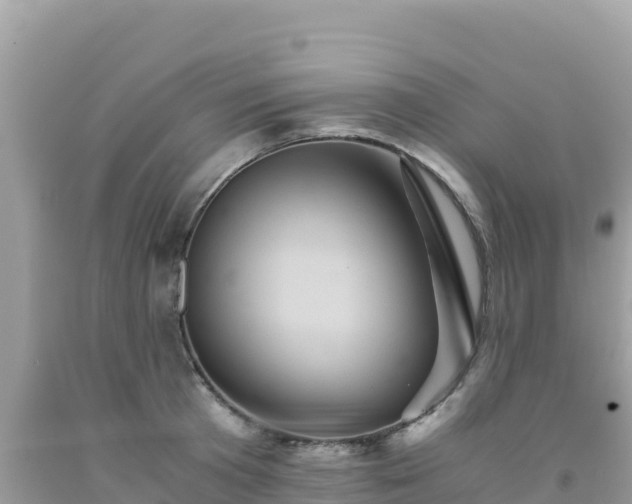 X0000092020801200709131555