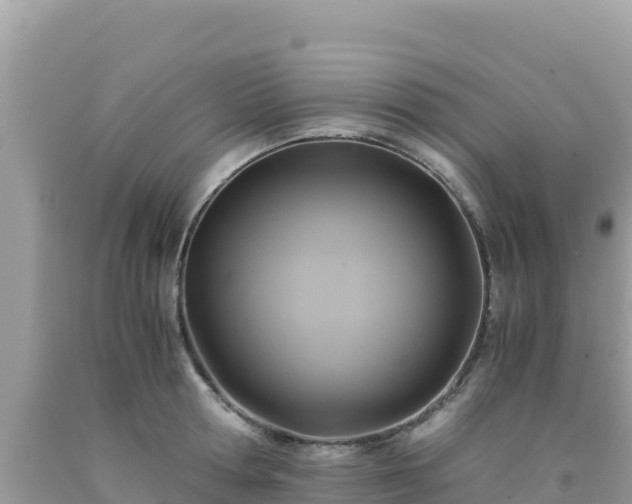 X0000092020802200709131555