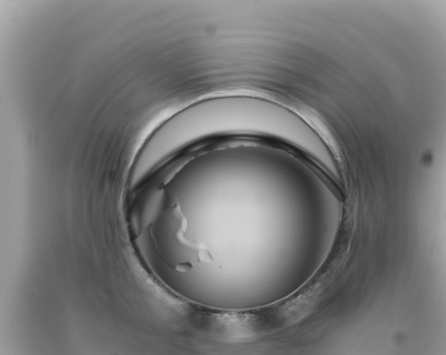X0000092020805200709131555
