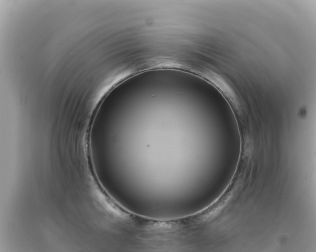 X0000092020806200709131555