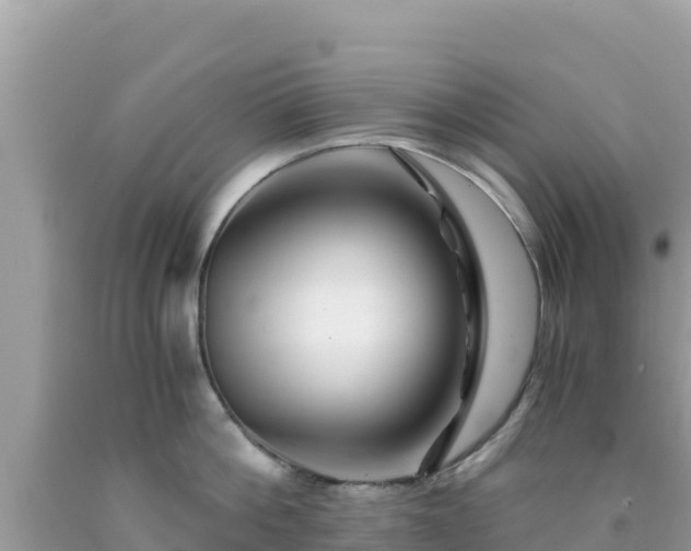 X0000092020812200709131555