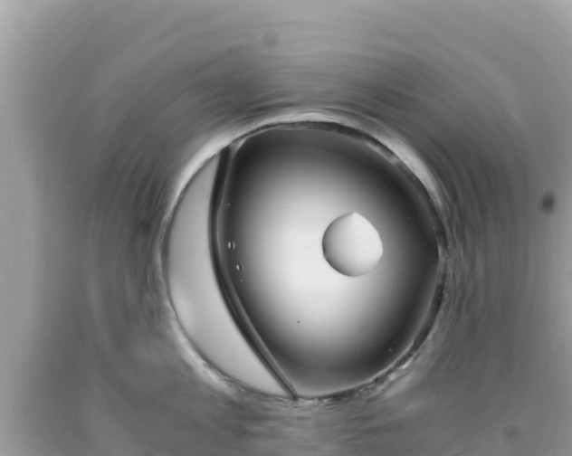 X0000092020813200709131555