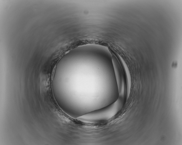 X0000092020818200709131554
