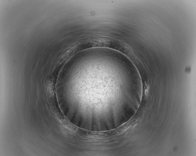 X0000092020819200709131554