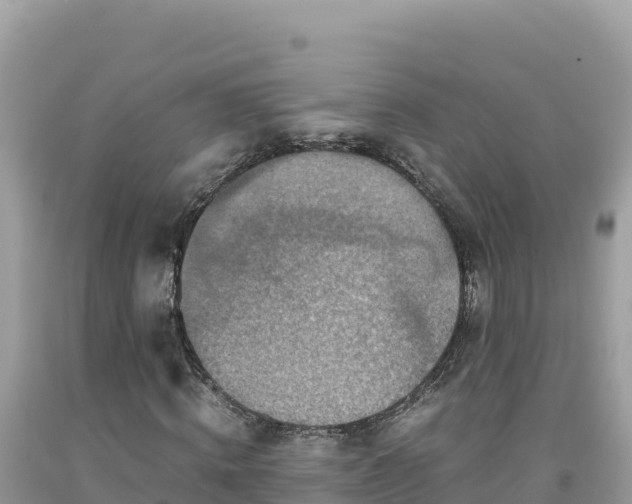 X0000092020820200709131554