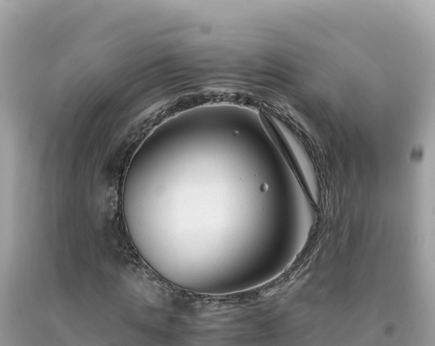 X0000092020821200709131554