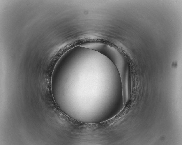 X0000092020822200709131554