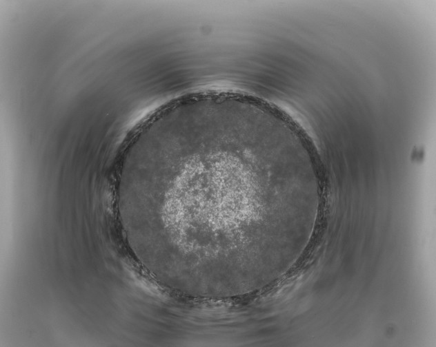 X0000092020823200709131554