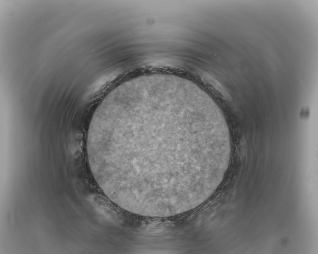 X0000092020824200709131554
