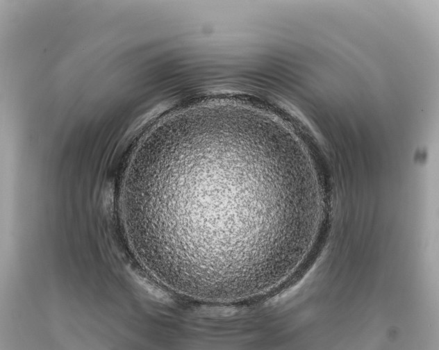 X0000092020825200709131554