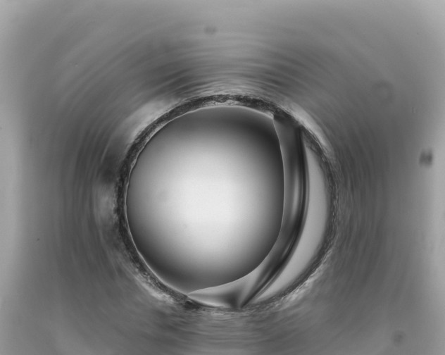 X0000092020826200709131554