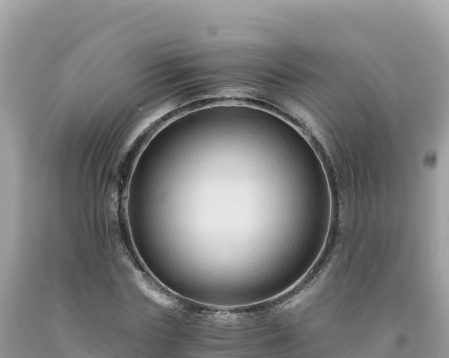 X0000092020827200709131554
