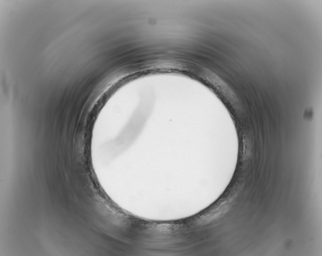 X0000092020828200709131554