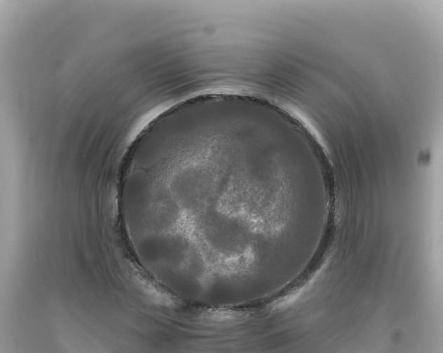 X0000092020829200709131554