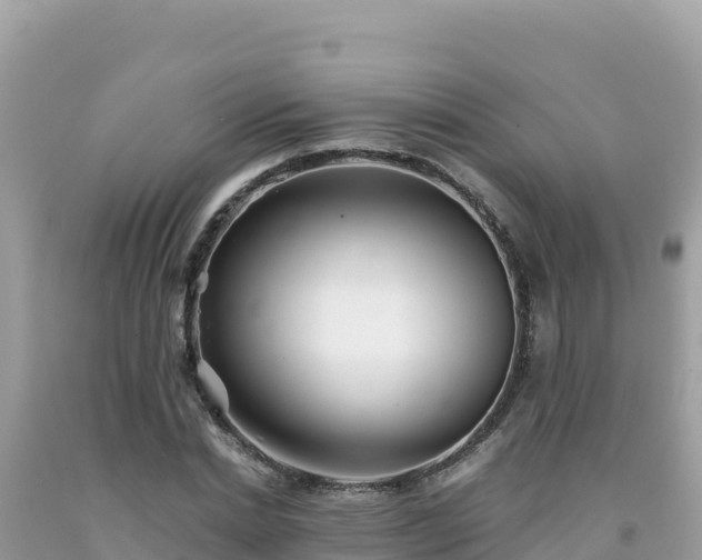 X0000092020830200709131554