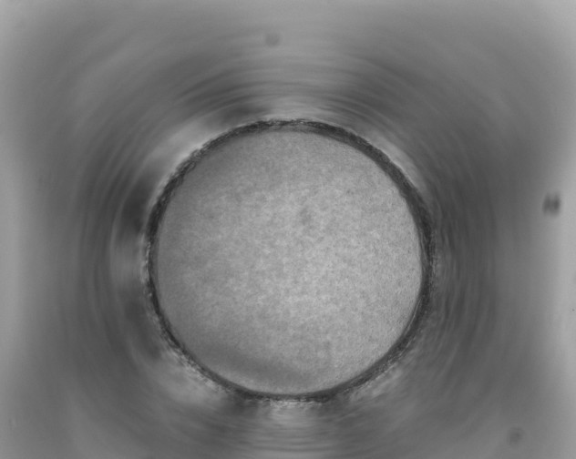 X0000092020832200709131554