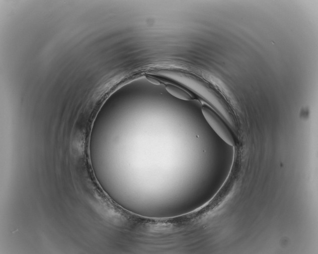 X0000092020833200709131554