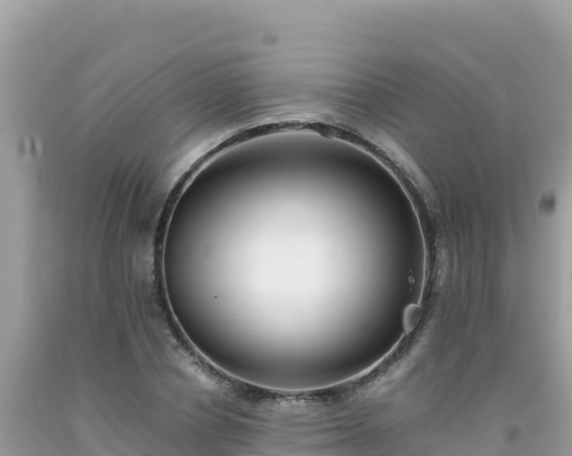 X0000092020834200709131554