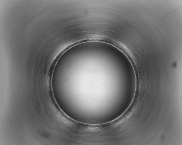 X0000092020835200709131554