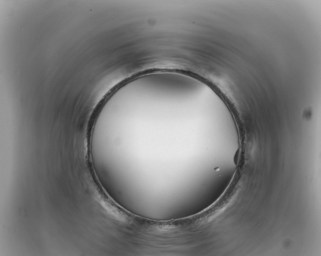 X0000092020837200709131554