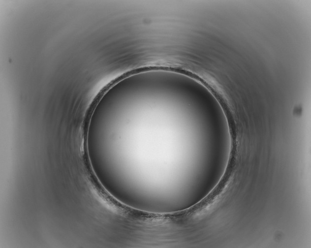 X0000092020838200709131554