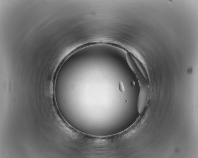 X0000092020839200709131554