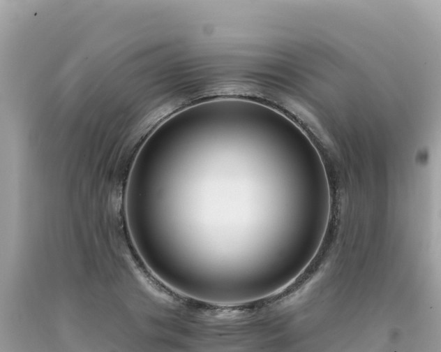 X0000092020841200709131554