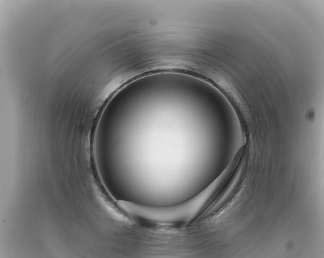 X0000092020842200709131554