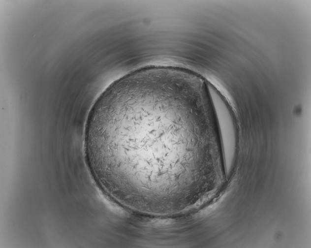 X0000092020845200709131554