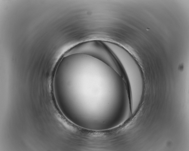 X0000092020846200709131554