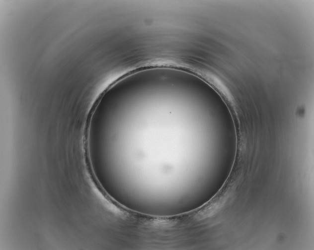 X0000092020847200709131554