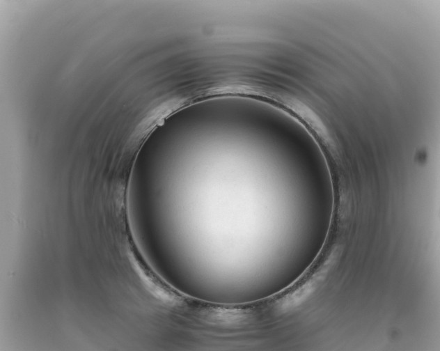 X0000092020849200709131554