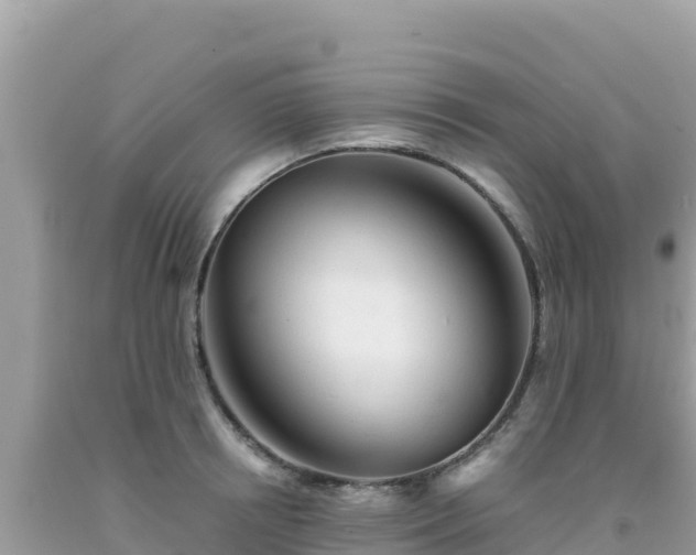 X0000092020850200709131554