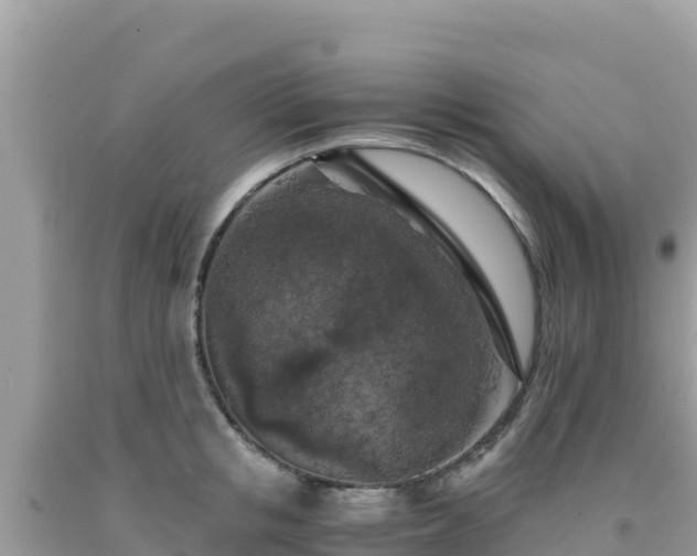 X0000092020853200709131554