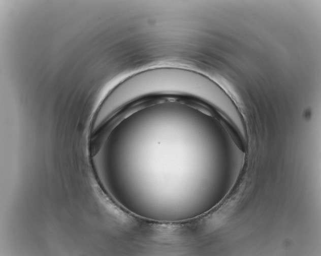 X0000092020854200709131554