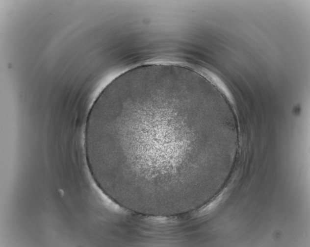 X0000092020855200709131555