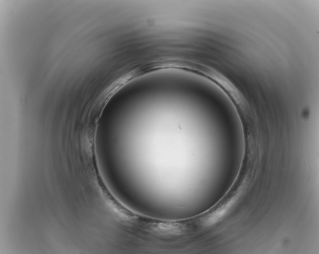 X0000092020857200709131555