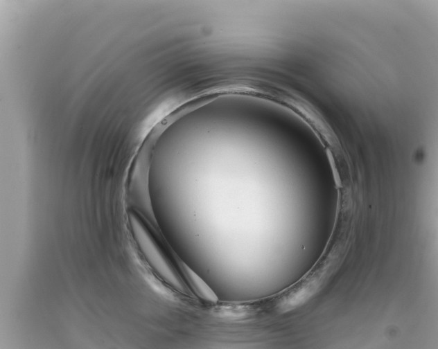 X0000092020858200709131555