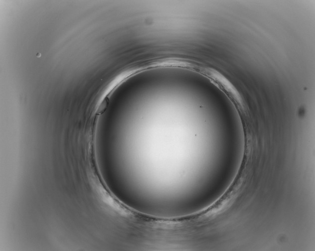 X0000092020860200709131555
