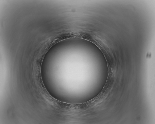 X0000092020865200709131554