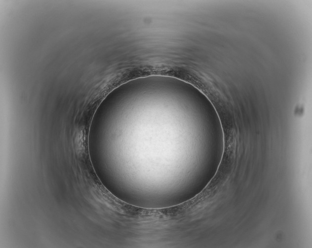 X0000092020866200709131554