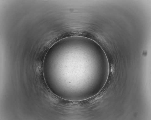 X0000092020867200709131554