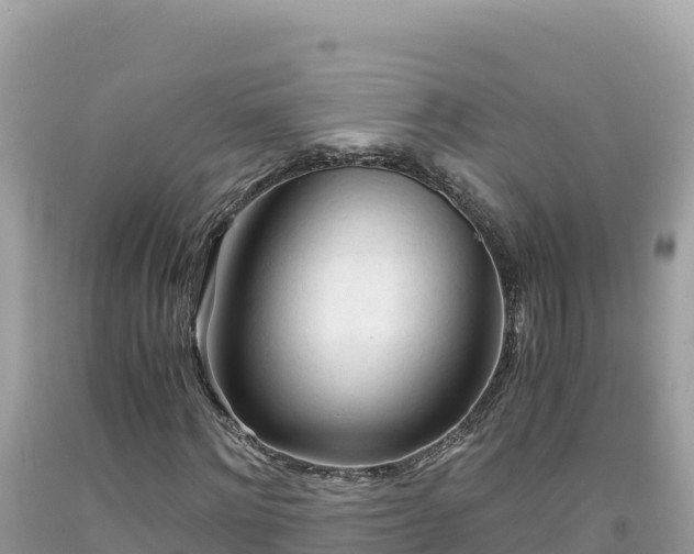 X0000092020868200709131554